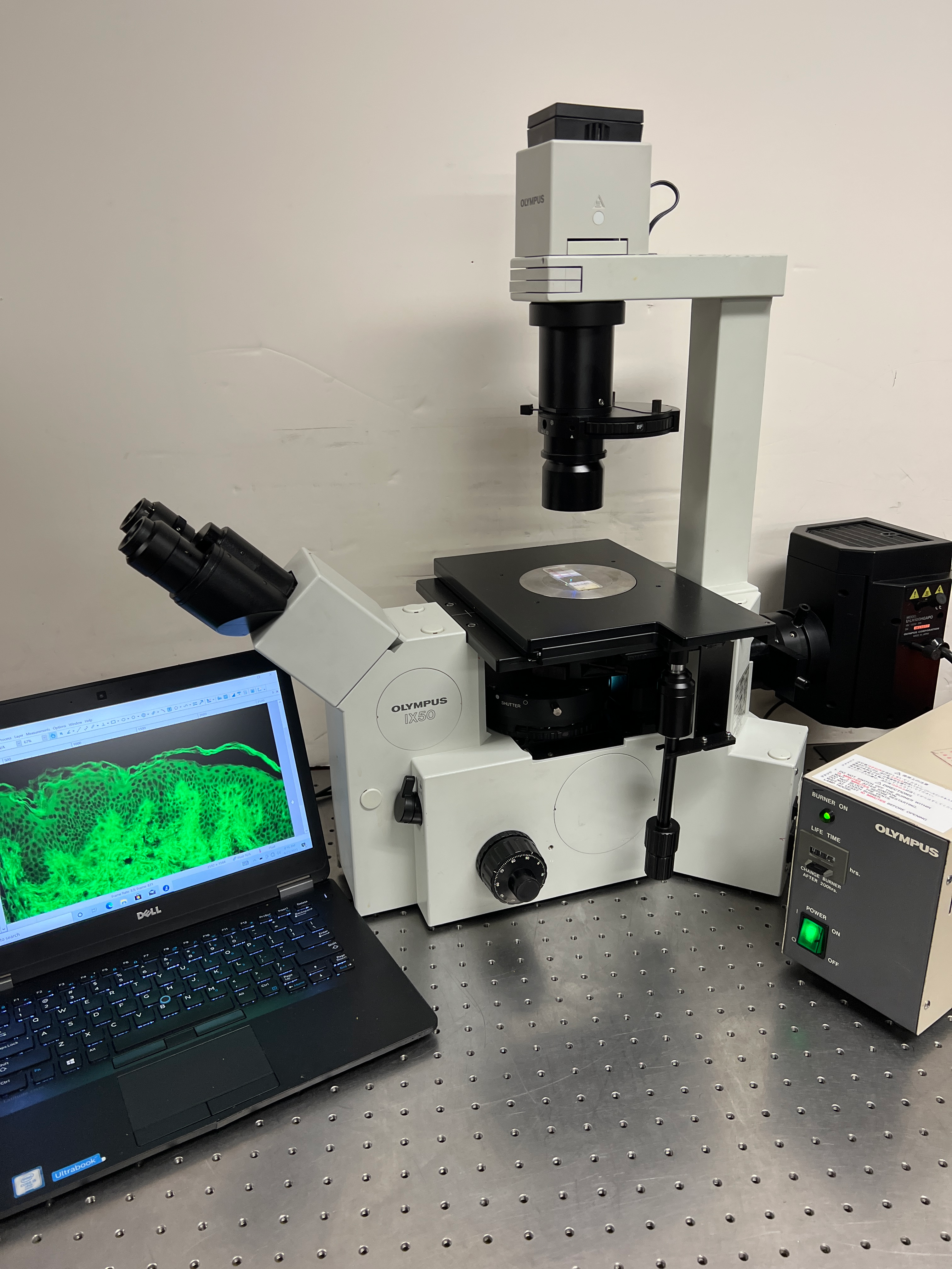 Olympus IX50 Fluorescence Phase Contrast Microscope 5MP Live Cell